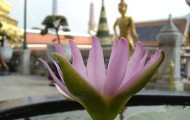 Beste Reisezeit Thailand