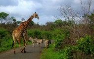 Beste Reisezeit Südafrika