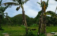 Beste Reisezeit Philippinen