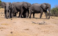Beste Reisezeit Botswana